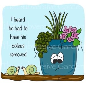 Coleus Removed Magnet