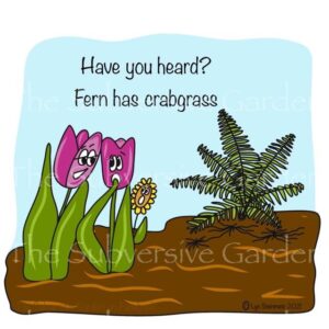 Fern has Crabgrass Magnet
