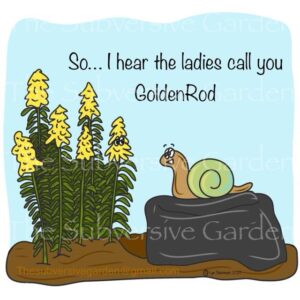 Goldenrod Magnet
