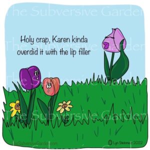 Tulip Filler Magnet (Copy)