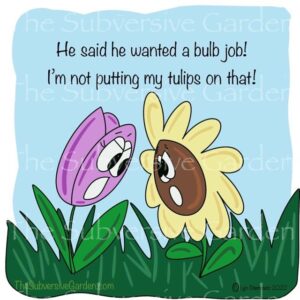 Tulip Outrage Magnet