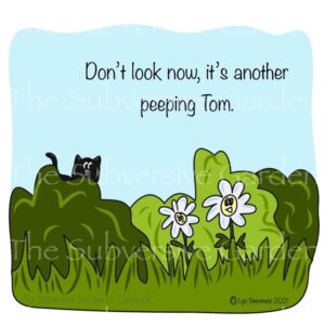 Peeping Tom Magnet