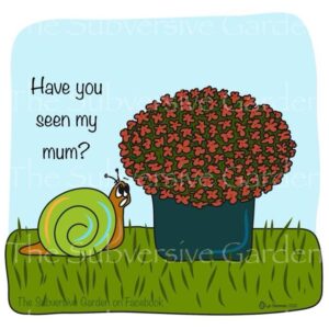 My Mum Magnet
